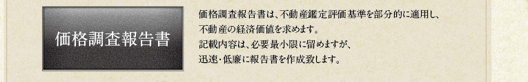 価格調査報告書